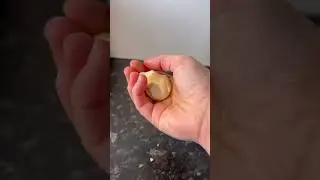 Natural Polymer - Science for Kids