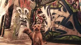 Court   Sukh  E   Gitta Bains   Deep Jandu   Parma   Gangis Khan   Dicapo   Speed Records   YouTube
