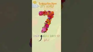 Vithara - 7 Count Down