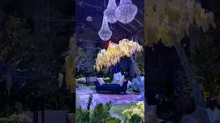 ZOOLIGHTS 2024 at The Wilder Institute/Calgary Zoo 🎄🎅❤️ #yyc #calgary #christmaslights