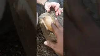 Elephant nail shape and concrete damaging outside nail. part 2