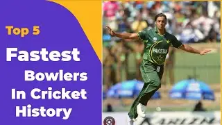 CRICKET SPEEDSTERS🏏