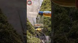 РАСПАКОВКА ТАЛИСКЕР 10 #обзор