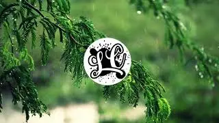 Markvard - Sky [NCS (NoCopyrightSound) Learner's Clain]