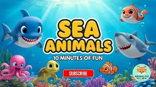 20 Wild Sea Animals for Kids! 🐙 Guess the Animal Quiz & Fun Facts
