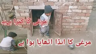 Mera beta Morgii ka Anda utha k Ly Aya h #waseemhjjanao