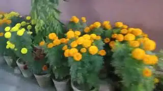 Journey from Delhi to Uttarakhand, we had dinner in Vaishali Etawah UK at 12:30 in the night