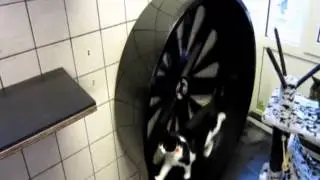 LOOPWIEL VOOR KATTEN