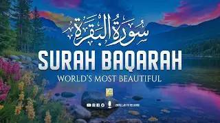 Surah Al-Baqarah (سورة البقرة) | Ultimate Peaceful Quran to Relax the Heart & Mind #surahbaqarah