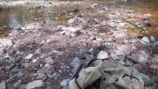 Хариус . р. Таёжная