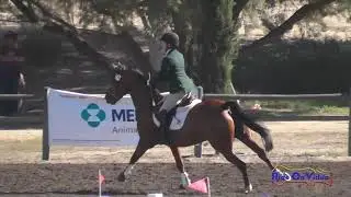 179S Whitney Tompkins on DVF Caliente Creek JR/YR Preliminary Show Jumping Galway Downs Nov. 2015