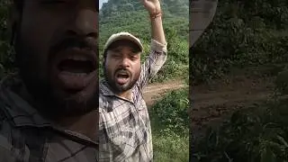 #trending #video #kaimur #reels
