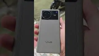 Why Did a 7-inch 2K Samsung Screen + Ultrasound Not Save Vivo X Note?