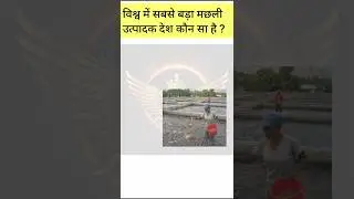 ❓ क्या आपको पता है सबसे बड़ा मछली उत्पादक देश? | GK Shorts #gk #gkfacts #gktoday #trendinggk