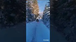 De la sanie la atv pe zăpadă