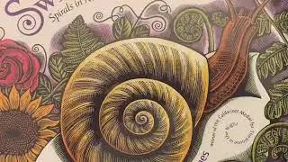Swirl by Swirl Book
