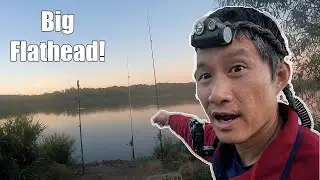 Catching Big Flathead at Catfish Point. Busch Lake 33 Fishing.