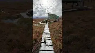 life in alaska #cat #catlover #alaskanwilderness #adventurecat #catsofyoutube #hiking #alaska