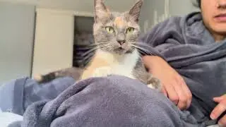 My Miso girly reddit