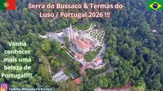 Serra do Bussaco & Termas do Luso / mais um paraíso de Portugal em 2026 / EP 196