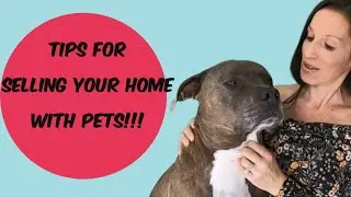 Tips For Selling Your Home - With Pets!