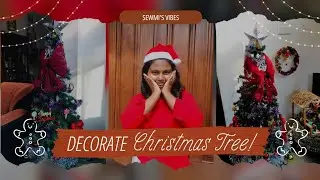 අපේ ගෙදර නත්තල් tree එක decorate කරා 🎁❤️ | Christmas vlog 2025