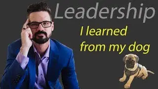 Leadership Lessons (I Learned from my dog)