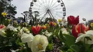 Floriade Canberra 2018