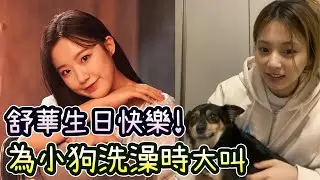 Twice子瑜對舒華的生日祝福 為小狗洗澡時覺得煩躁而大叫