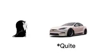 Please stop saying dumb things, you're not even making sense | Tesla Version