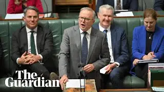 PM says Fatima Payman has placed herself outside the 'privilege' of Labor party caucus