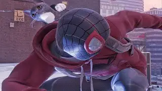 Web Swinging with Black Cat Vector - Lost Cat Mission | Spider-Man Miles Morales.