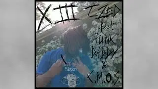 T_Zed - XIII (feat. Punk Daddy & C.M.O.S.)