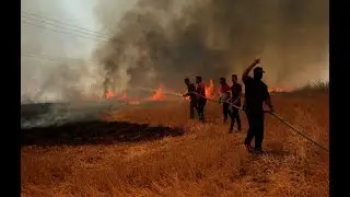 Iraq's record crop yield threatened by suspicious fires