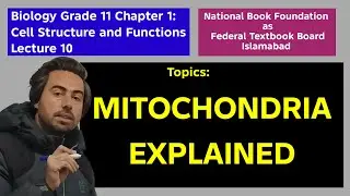 Mitochondria | Powerhouse of the Cell | Class 11 Biology | Lecture 10