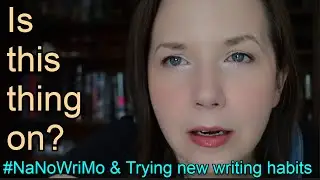 NaNoWriMo 2023 | Genre experimentation | Trying new writing habits and Plotting vs Pantsing