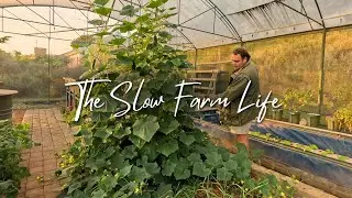 Life on a Small Farm: Feeding Animals, Veggies, Slow Life (With Relaxing Piano)