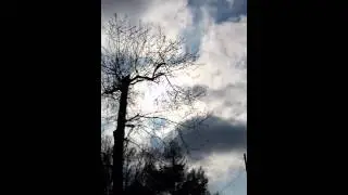Check out the sun