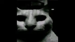 Uncanny cat f15 meme (war thunder)