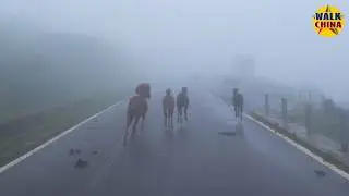 🌫️ 