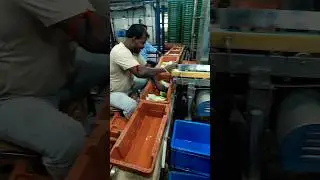 🤫🤫mother dairy milk kolkata 🤔