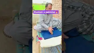 All pakistan winner bateera #youtubeshorts #shorts #shortvideo #bateer