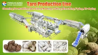 Industrial Taro Processing Line Workflow | Washing, Peeling, Cutting, Blanching & IQF