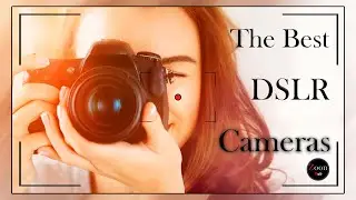#BestDSLRCameras #DSLR #best #2020 #trending #mostview #technologyfuture #zoonhub #subscribe #like