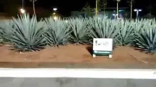 se siguio la fiesta despues del cierre de Juego de Amigos! 2015