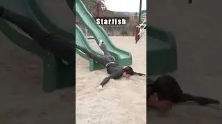 How different animals go down a slide. 🤣 Part 2 #Shorts