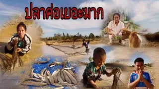 ตืกปลาช้อนได้เยอะมาก#วิถีชาวบ้าน 
