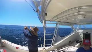 360 VR Video | Marlin Action in Costa Rica