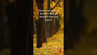 Autumn Trees on a Breeze