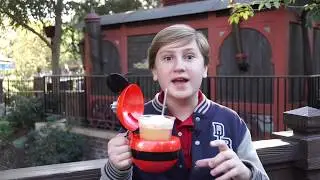DisneyLand Insiders 